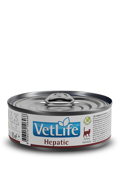 Hepatic wet food feline