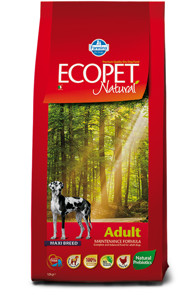 Ecopet Natural Adult Maxi