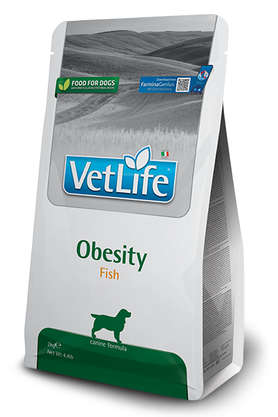 Obesity Fish canine