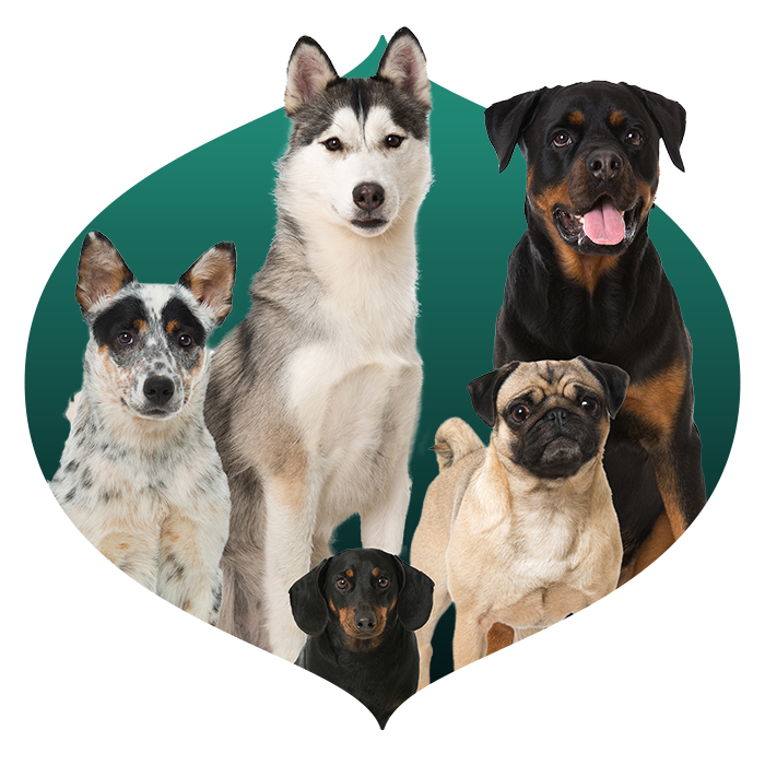 Farmina Pet Foods request nutritional support 3