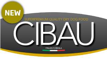 Cibau