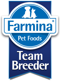 Farmina Team Breeder formula canină